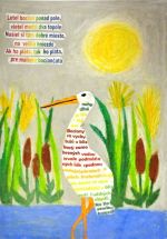 Jarottová Natália.jpg